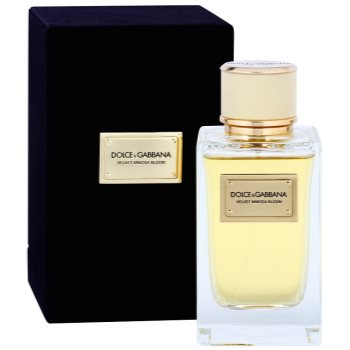 Dolce & Gabbana Velvet Mimosa Bloom Eau De Parfum pentru femei 150 ml